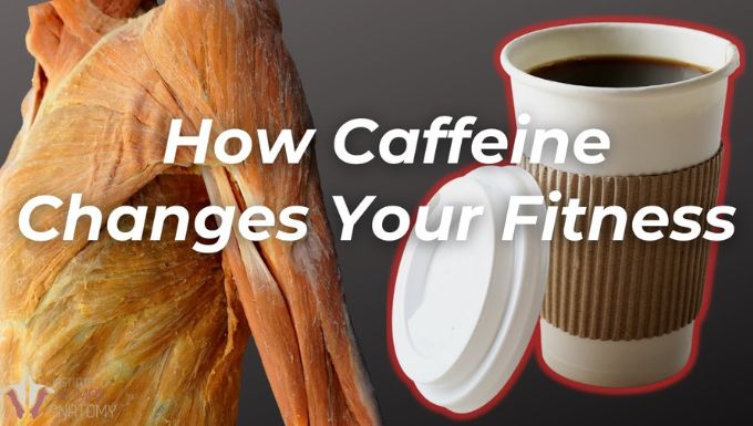 How Caffeine Affects Exercise and Athletic Performance