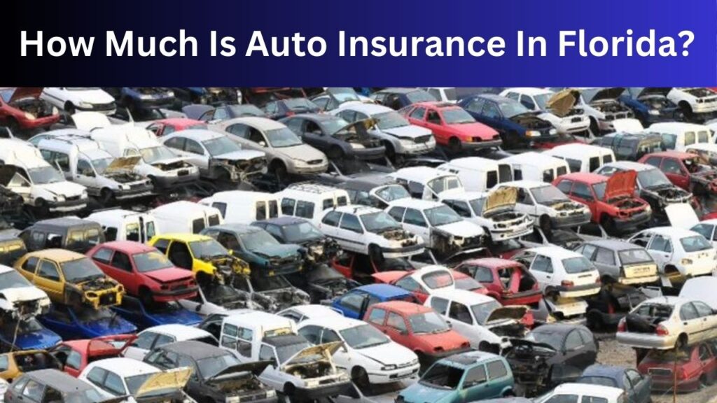 How Much Is Auto Insurance In Florida?